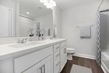 Double vanity sink